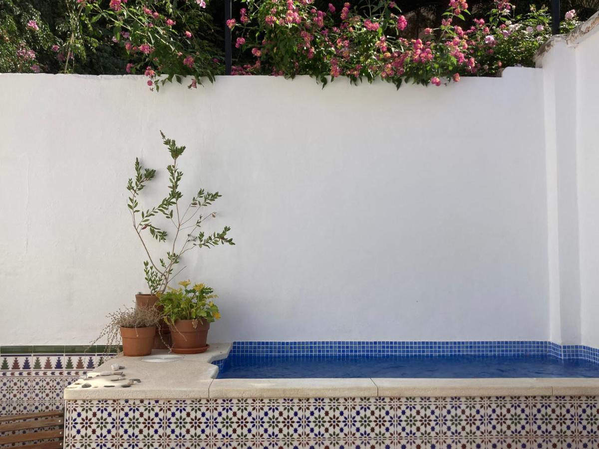 Апартаменты Casa Clemente 32, Private House With Plunge Pool Малага Экстерьер фото